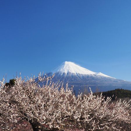 Temple Lodging Shukubo Kakurinbo Minobu Dış mekan fotoğraf