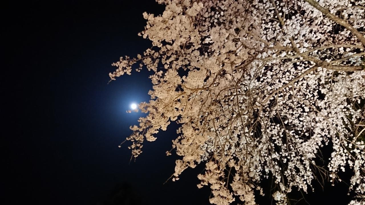 Temple Lodging Shukubo Kakurinbo Minobu Dış mekan fotoğraf